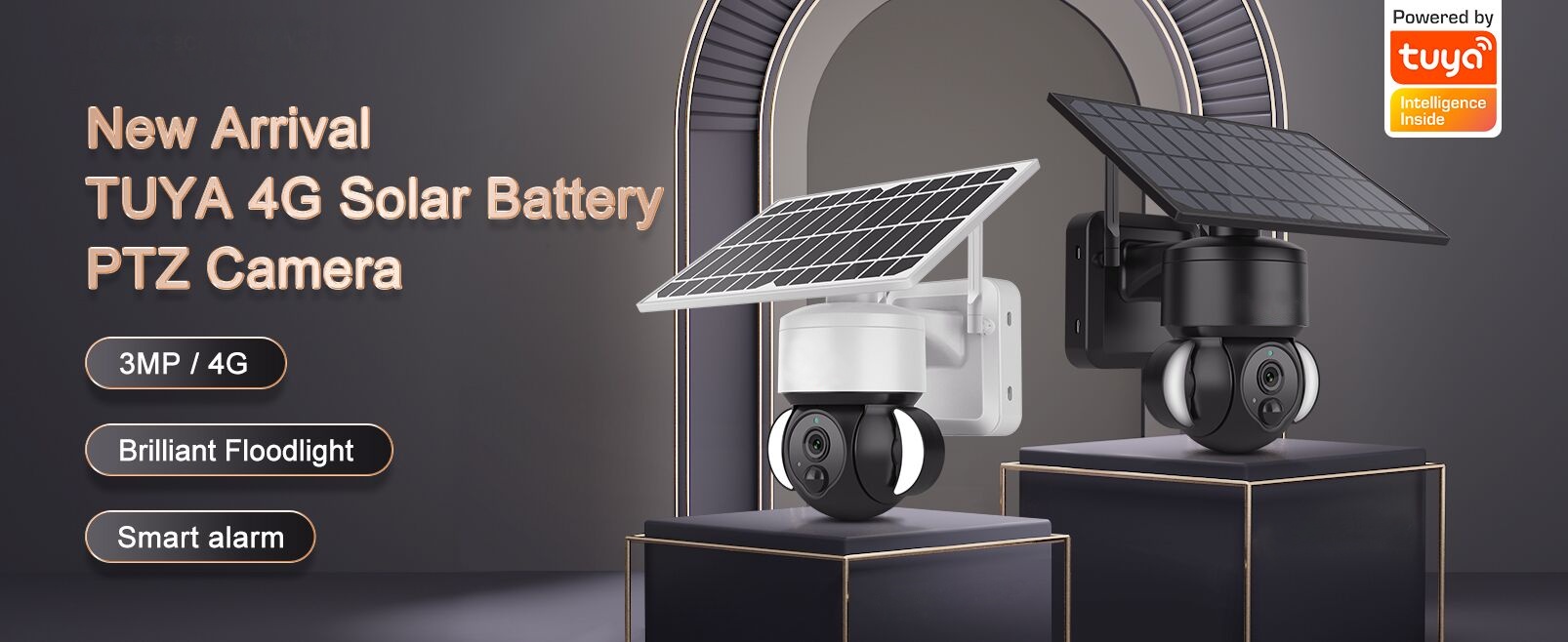 tuya 4g solar camera